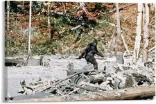 Sasquatch Retro Poster Vintage Bigfoot Canvas Art Poster and Wall Art Picture picture