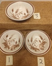Set of 3 Vintage Churchill England Wild Harvest Stoneware Bowls Wheat Fern picture
