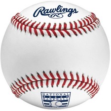 MLB Hall of Fame Rawlings Official Major League Baseball picture