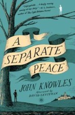 A Separate Peace - Paperback By John Knowles - GOOD picture