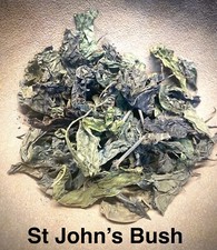Justicia Secunda Dried Leaves 1.5oz - St. John's Bush, Blood Root, Jamaican Herb picture