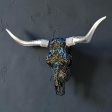 Real bull skull. Wall decor. Cow skull. picture