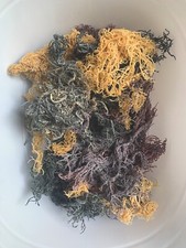 3 lbs Bulk Wild Purple Mix RAW Sea Moss 48ozs - 1 dry oz makes 32 oz gel picture