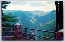 Joe Kast Postcard Pennsylvania's Grand Canyon Colton Point Dexter Press 89416 picture