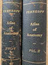 Pernkopf's ATLAS OF ANATOMY (2 Volume Set, 1963-64 ; 1st English Edition) picture