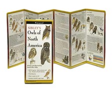 Sibley's Owls of North America picture