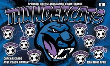 Thundercats  - Soccer Team Banner - (3ft x5ft) Your Team Name picture
