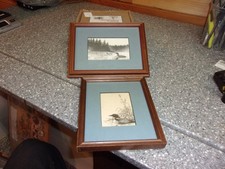 T374 vintage loon print pair Bastianson picture