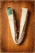 Top Quality Vintage BJJ Belts picture