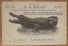 Vintage 1923 Jacksonville Florida Alligator Photographer Advertising Card RARE picture