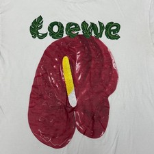 Loewe Women L  Anthurium T-Shirt White  Limited Edition  Designer Collection picture