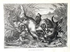 The Aldine, Typographic Art Journal, Full Year, 1871, Victorian Culture, Illus. picture