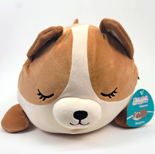 NWT Squishmallows Sleep-A-Mallows Regina the Corgi Dog Plush Jumbo 18