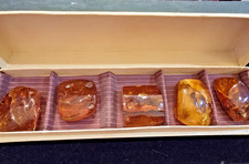 RARE Vintage Box of Prized Amber 5 Loose Pieces from Russian Baltic Region USSR picture