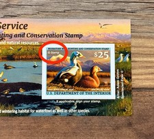WTDstamps - #RW92A / RW92B 2025 - Federal Duck Stamp -- 