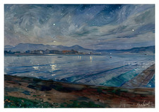 Night Ice Oxnard Sheeted Farm Fields 2025 Max Rainet * Frame Worthy * Art Print picture