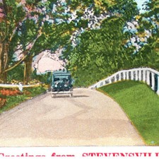 Vintage Postcard 1930 Stevensville Pennsylvania Vintage Auto Landscape Trees-A2 picture