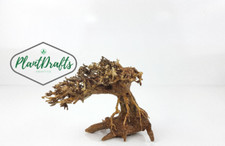 SPECIAL DISCOUNT Nano Aquarium Driftwood Bonsai Tree 