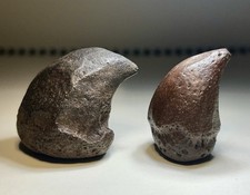 Near 2” Pair of Giant Tortoise Spurs Peace Rv. Florida Rare Pleistocene Fossil picture