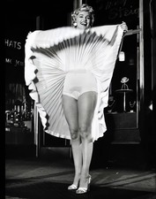 Marilyn Monroe's Legs 14 x 11