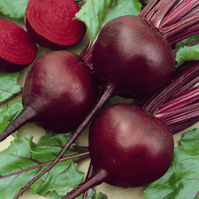 200+ DETROIT DARK RED BEET SEEDS FRESH HARVEST FOR GARDENS picture