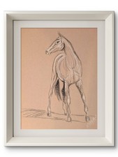 KYMA Original 9x12 Realist Horse Standing Portrait Sketch Signed Art On Paper picture