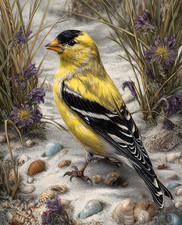 Yellow Goldfinch Standing Among Coastal Wildflowers and Shells Print - 232628309 picture