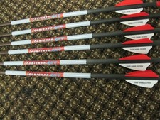 RED HOT Parker 20 in 337 grain arrow Punisher 427 picture