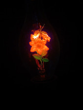 Vintage Aerolux Orange Flower Bulb picture