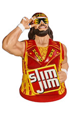 MACHO MAN RANDY SAVAGE Slim Jim Display Collector Series FACTORY SEALED picture