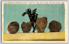 Five varieties of commercial sponge picture