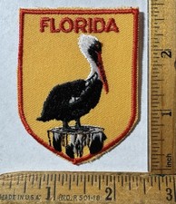 Vintage Florida Pelican Iron On Patch Voyager Travel Souvenir picture