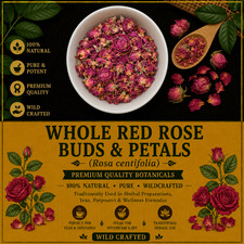 Whole Red Rose Buds & Petals Rosa centifolia Premium Herbal Tea Flowers | USA picture