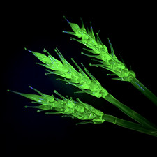 Uranium Glass Wheat Spike Unique Handmade Rare Vaseline Glass the Cluster Flower picture