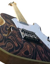 Electric Guitar Bankruptcy - New Custom Semi-Hollow Burl Top TL-Style Guitar picture