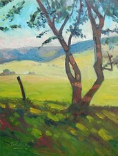 TOM FISHER  tree fence shady hills Impressionism Original Landscape Oil Painting picture