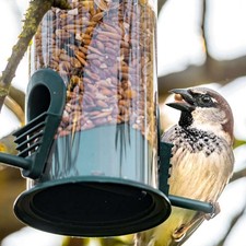 Bird Feeder Wild Classic Hanging Tube Feeders Premium Seed Hard Capacity Outside picture