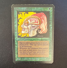 Magic: The Gathering ALPHA EDITION Llanowar Elves   MP picture