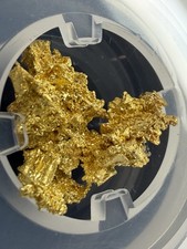Crystalline Reef Gold Nugget  ::  Museum-Grade Specimen from Western Australia picture