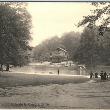 c1910s Brussels, Belgium Bois de la Cambre Lake Chalet Robinson Postcard picture