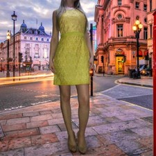 Yellow  BCBG Max Azria Dress Size 2, UK 8-10 / 36-38 picture