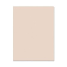 Pacon Tagboard Paper - 24