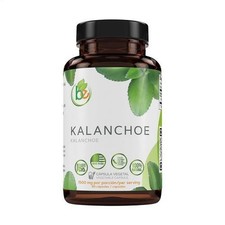 Kalanchoe Pinnata Forte(Leaf of Life) 90 Capsules (1500 mg per Serving) picture