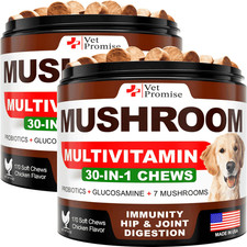 (2 Pack) Mushroom for Dogs 340 Chews Turkey Tail Mushroom Supplement for picture
