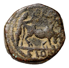 Petra Elagabalus AE20, Plow Scene. Ancient Roman Coin Genuine Judaea Decapolis picture