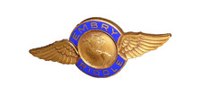 EMBRY RIDDLE AERONAUTICAL WING PIN WORLDWIDE ORIGINAL VINTAGE DIEGES & CLUST MFG picture
