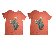 New Set of 2 Boys' Rhino & Bird Skateboard Graphic T-Shirt - Cat & Jack Size 5T picture
