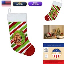 Caroline's Treasures LH9241-CS Bloodhound Candy Cane Christmas Stocking picture