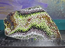 Genuine Dragonscale Fordite  Premium Colors Motor City Agate Watch Makers Dream picture