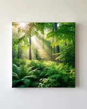 Sunlit Forest Green Ferns Canvas Wall Art Printable Nature Digital Download Art picture